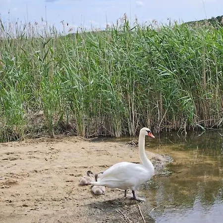 Holiday home Klimatyczny Domek Na Mazurach Duzy Ogrod Jezioro