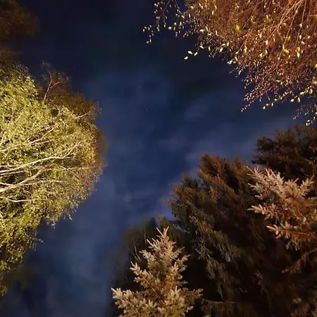 Klimatyczny Domek Na Mazurach Duzy Ogrod Jezioro