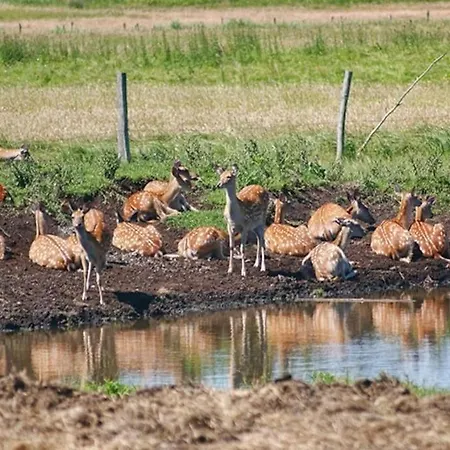 Klimatyczny Domek Na Mazurach Duzy Ogrod Jezioro
